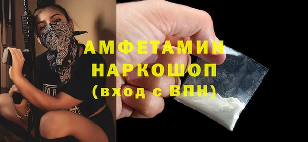 амф Ельня