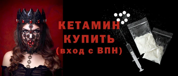 амф Ельня