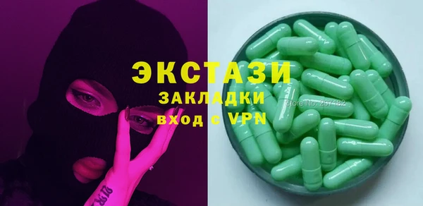 амф Ельня