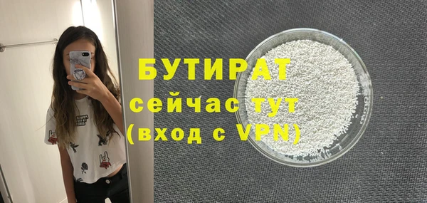 амф Ельня