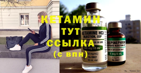 амф Ельня