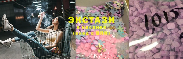 амф Ельня