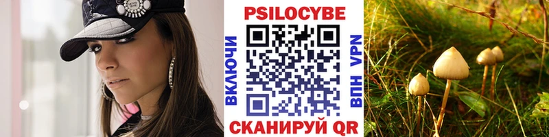 закладка  Березники  Галлюциногенные грибы GOLDEN TEACHER 